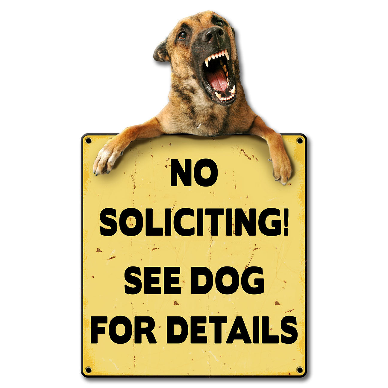 PSB396 - NO SOLICITING SEE DOG - PLASMA