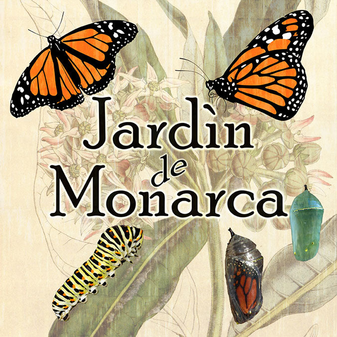 THC211 - MONARCH