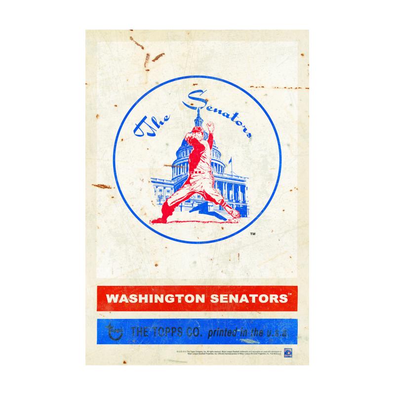 TPS039 - 12 x 18 - VINTAGE SIGN - 1971 WASHINGTON SENATORS....Requires #/49 Medallion