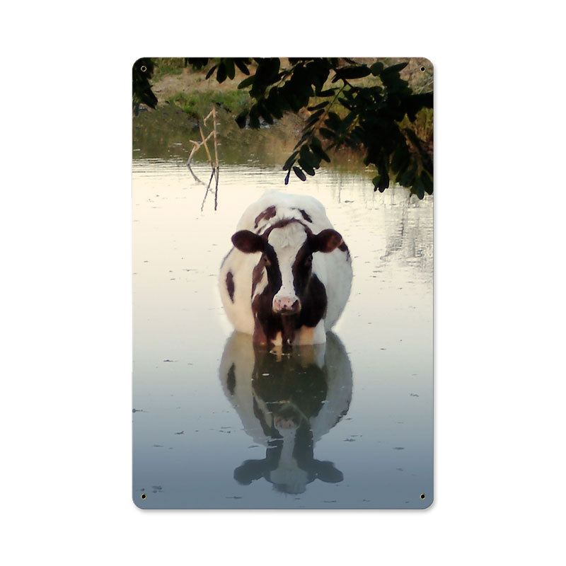 Cow In Water