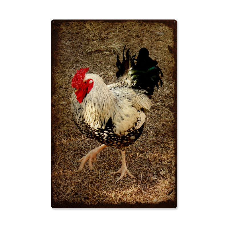 Rooster Vintage Sign