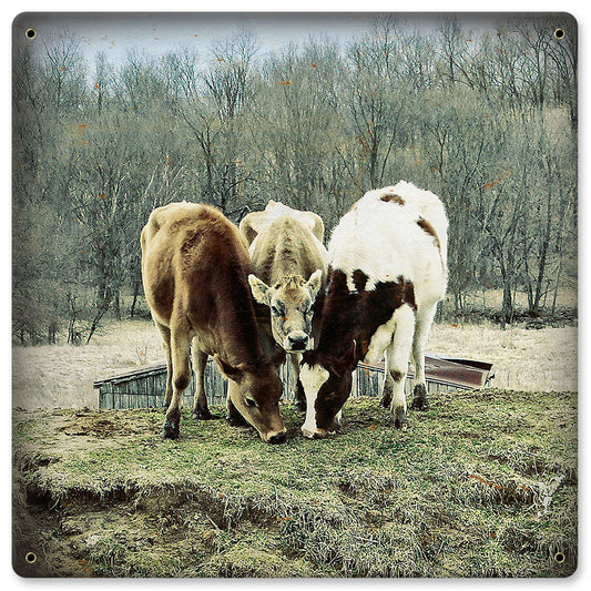 THREE COWS