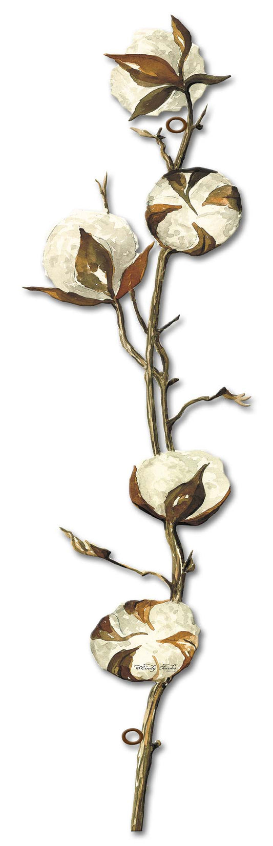 Cotton Stem 1 Vintage Sign