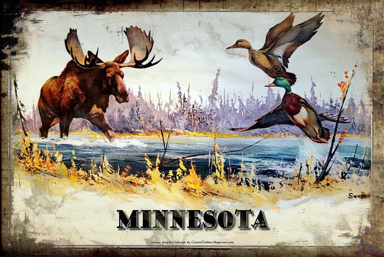 COMUV402 - MN SWEENY MOOSE
