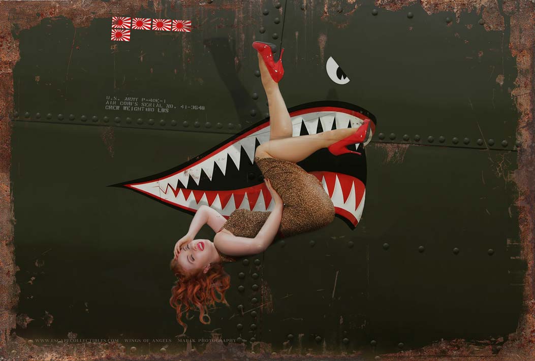 EC017 - P-40 WARHAWK XL 18 GAUGE