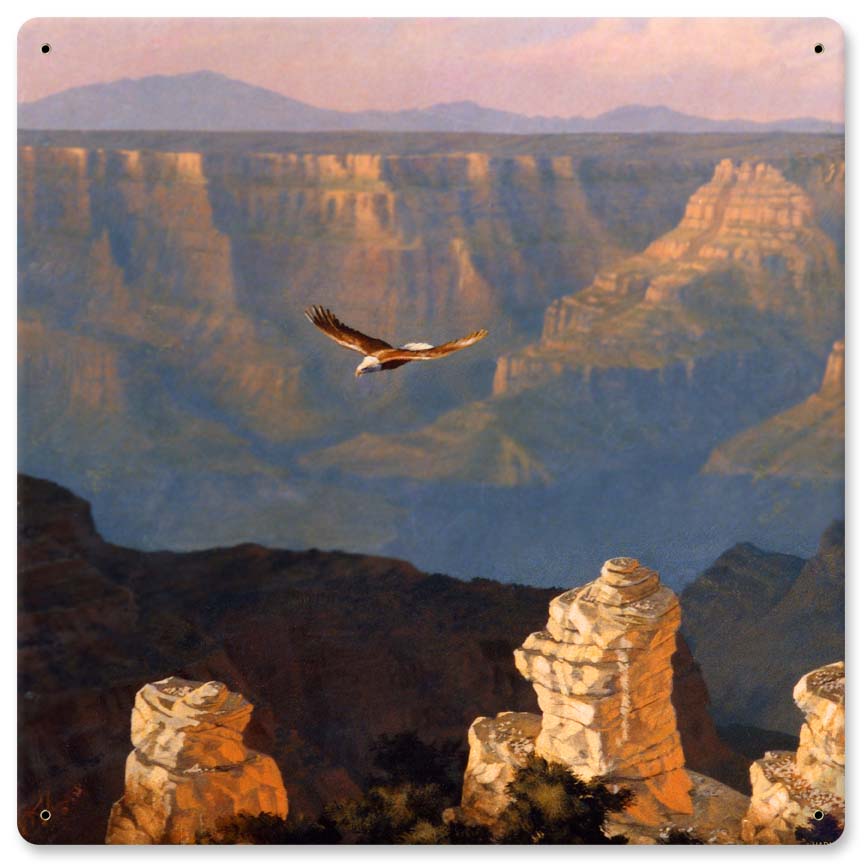 Eagle Over the Canyon Vintage Sign