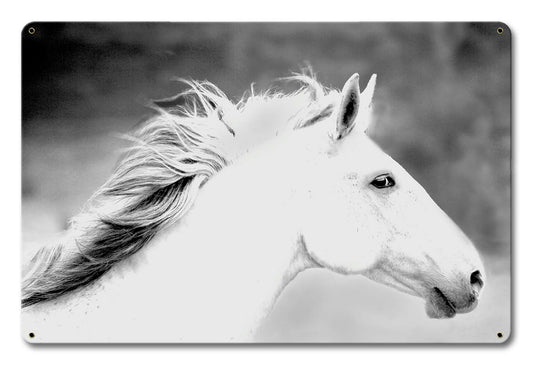 Mane In The Wind