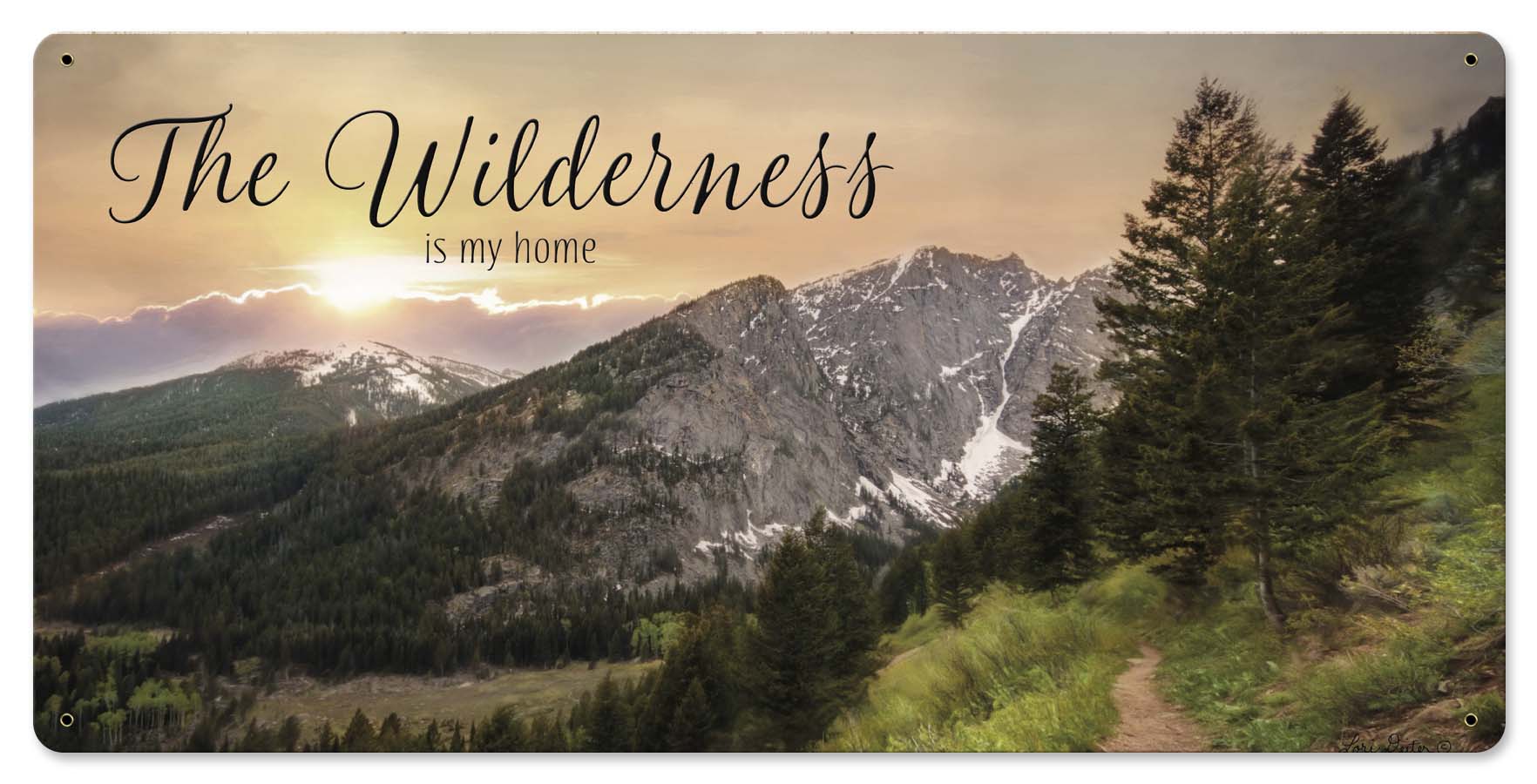 The Wilderness Home Vintage Sign