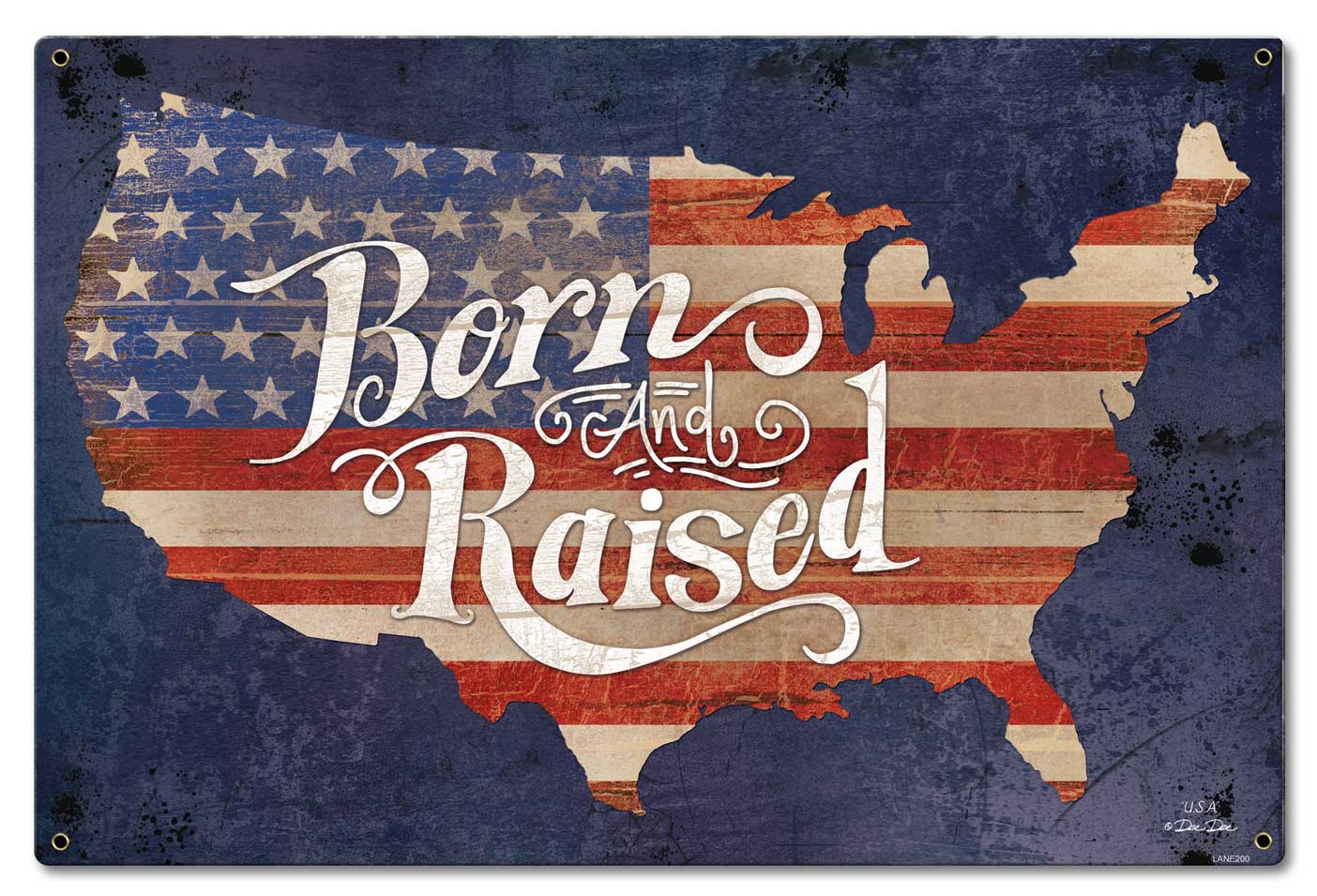 Born And Raised America Vintage Sign