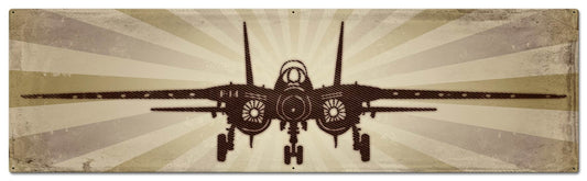Planes F14 Tomcat