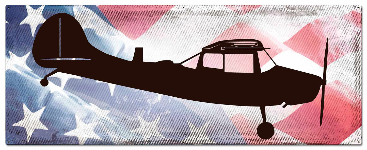 Planes O-1E American Flag