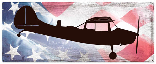 Planes O-1E American Flag