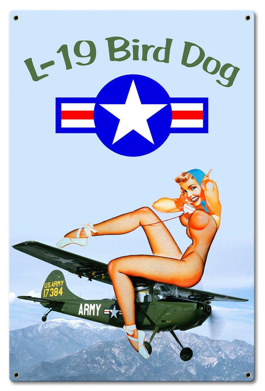 L-19 Bird Dog Pinup