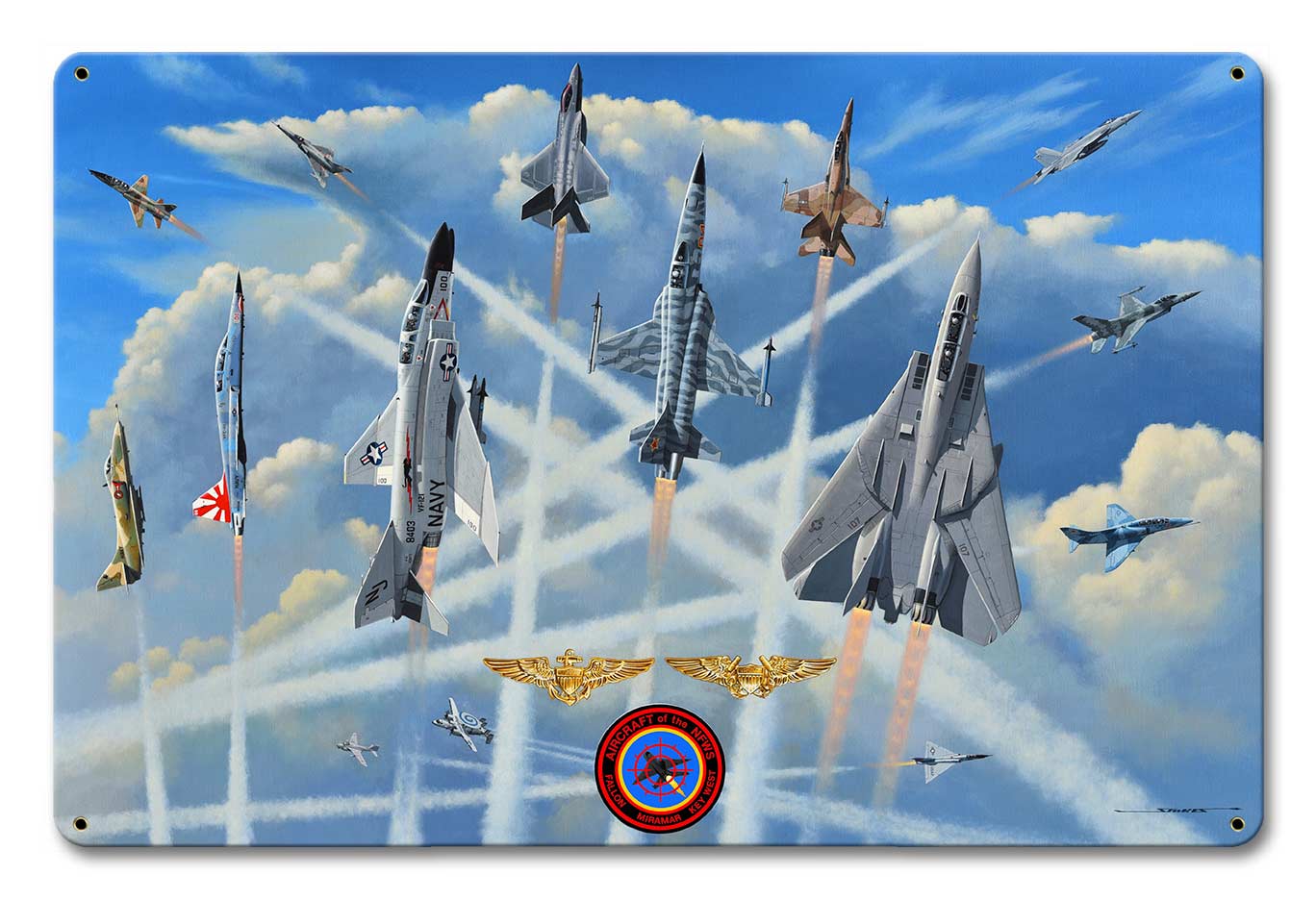 Aircraft of the NFWS 18 X 12 vintage metal sign