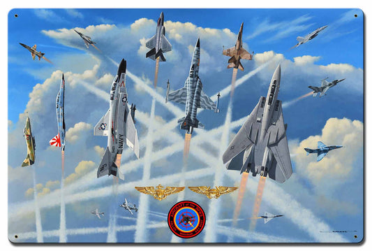 Aircraft of the NFWS 24 X 16 vintage metal sign