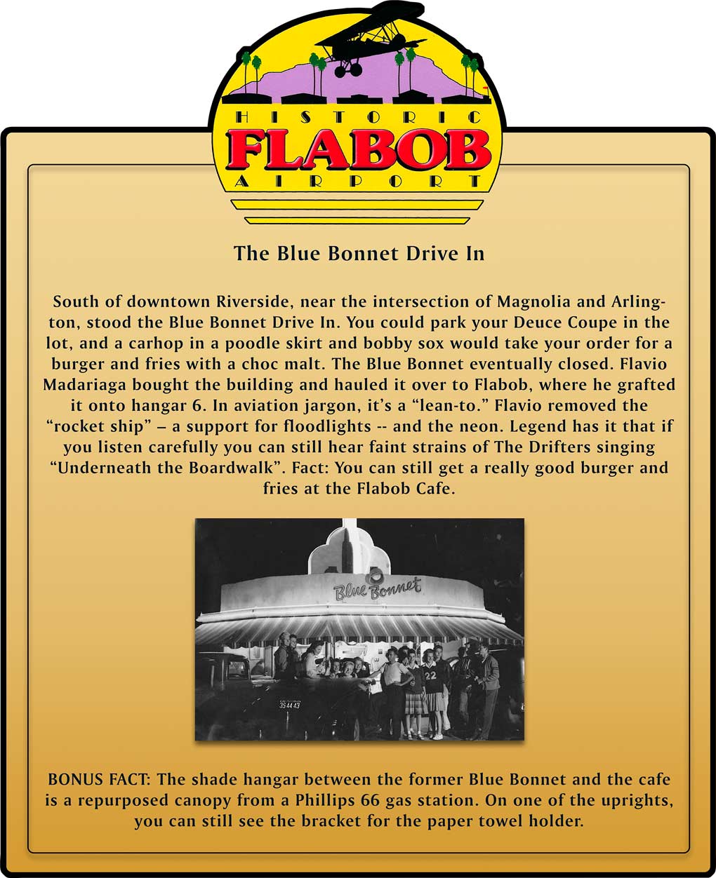 VG031 - FLABOB BLUE BONNET
